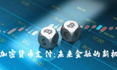 委内瑞拉加密货币支付：未来金融的新机遇与挑