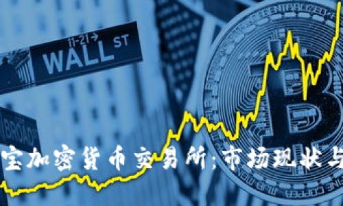 美国支付宝加密货币交易所：市场现状与未来发展