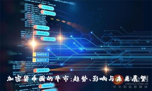 加密货币圈的牛市：趋势、影响与未来展望