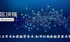 与关键词2023年潜力黑马加密数字货币：如何识别
