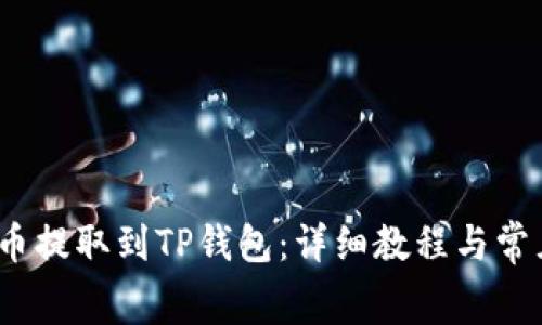 如何将Big币提取到TP钱包：详细教程与常见问题解答