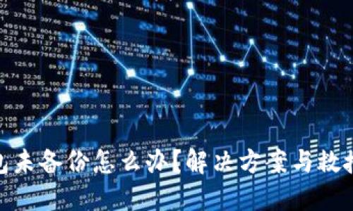 TP钱包未备份怎么办？解决方案与救援措施