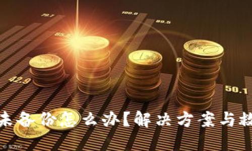 TP钱包未备份怎么办？解决方案与救援措施