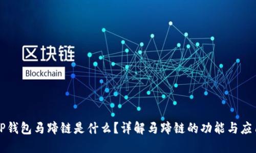 TP钱包马蹄链是什么？详解马蹄链的功能与应用