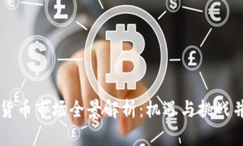 美国加密货币市场全景解析：机遇与挑战并存的未来