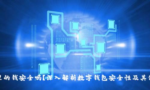 TP钱包里的钱安全吗？深入解析数字钱包安全性及其保护措施