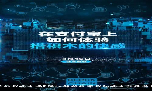 TP钱包里的钱安全吗？深入解析数字钱包安全性及其保护措施
