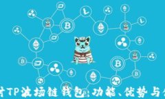 深入探讨TP波场链钱包：功