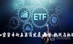 加密货币的未来与发展：
