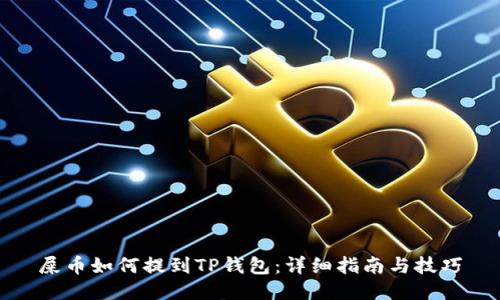 屎币如何提到TP钱包：详细指南与技巧