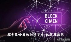 探索巴哈马的加密货币：