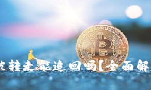 TP钱包USDT被转走能追回吗？全面解析与解决方案