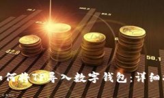 : 如何将TP导入数字钱包：
