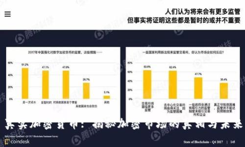 真实加密货币: 揭秘加密市场的真相与未来