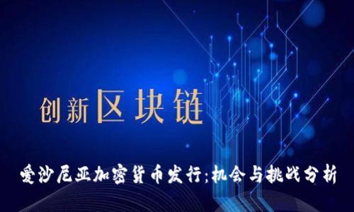 爱沙尼亚加密货币发行：机会与挑战分析