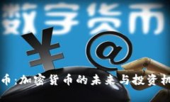 小蚁货币：加密货币的未