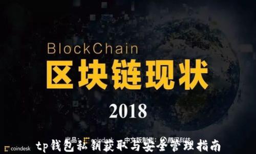 
tp钱包私钥获取与安全管理指南
