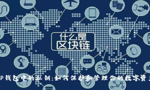 TP钱包中的私钥：如何保护和管理你的数字资产