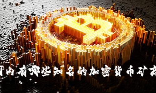 国内有哪些知名的加密货币矿商？