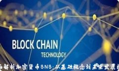 全面解析加密货币BNB：从