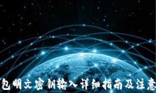 
TP钱包明文密钥输入详细指南及注意事项