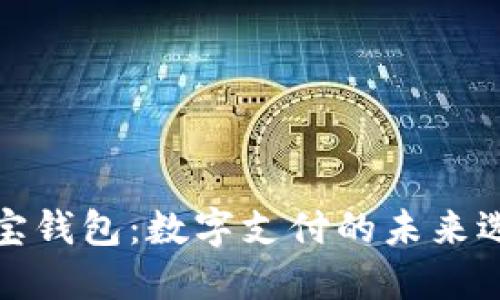 购宝钱包：数字支付的未来选择