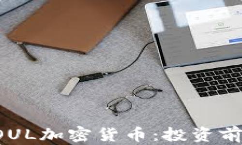 
深入了解SOUL加密货币：投资前的必读指南