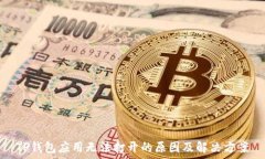   TP钱包应用无法打开的原