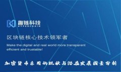 加密货币采用的现状与潜