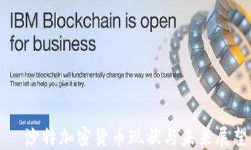 
  沙特加密货币现状与未来展望