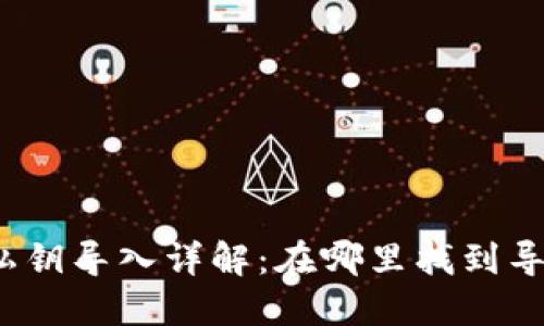 TP钱包私钥导入详解：在哪里找到导入选项？