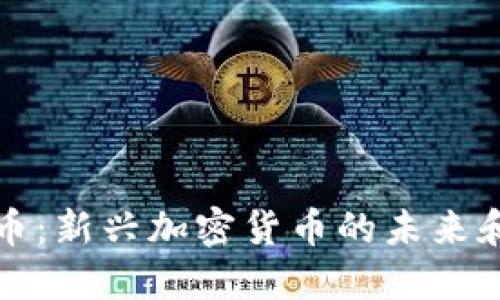 人类币：新兴加密货币的未来和潜力