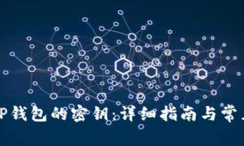 如何查看TP钱包的密钥：详细指南与常见问题解答