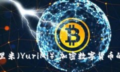 深入了解尤里米（YuriMi）