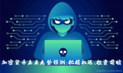 加密货币未来走势预测：
