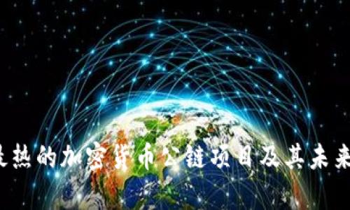 2023年最热的加密货币公链项目及其未来趋势分析