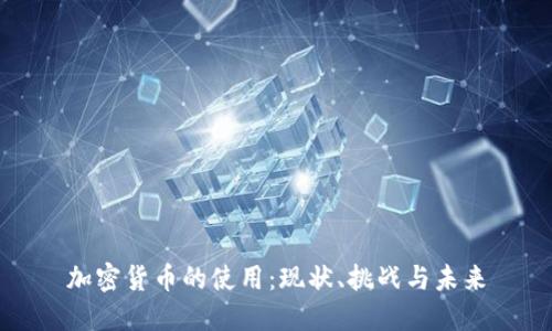 加密货币的使用：现状、挑战与未来