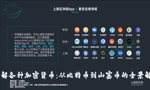 了解各种加密货币：从比特币到山寨币的全景解析