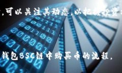    如何在TP钱包BSC链中购买