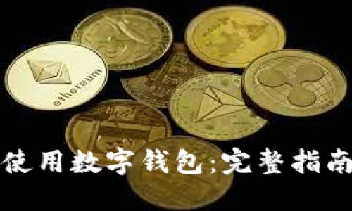 如何下载和使用数字钱包：完整指南与最佳实践