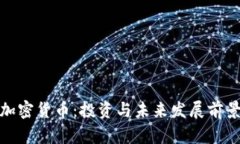 OMO加密货币：投资与未来