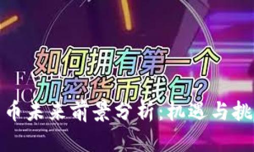 加密货币未来前景分析：机遇与挑战并存