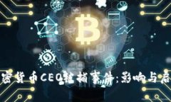 加密货币CEO被捕事件：影