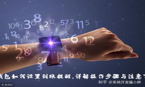 TP钱包如何设置到账提醒，详解操作步骤与注意事项