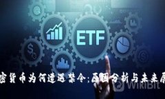 加密货币为何遭遇禁令：