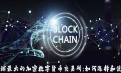 全球最大的加密数字货币