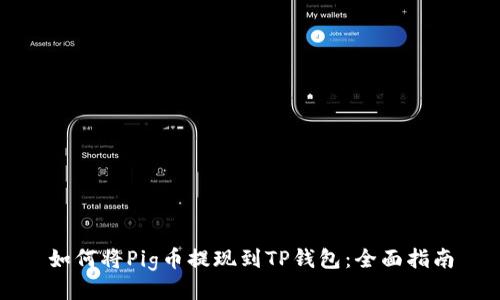 如何将Pig币提现到TP钱包：全面指南