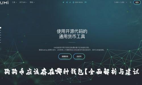 狗狗币应该存在哪种钱包？全面解析与建议
