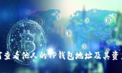 : 如何查看他人的TP钱包地