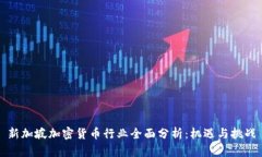 新加坡加密货币行业全面